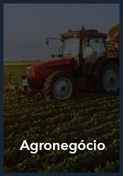 agronegocio